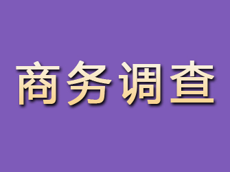 永康商务调查